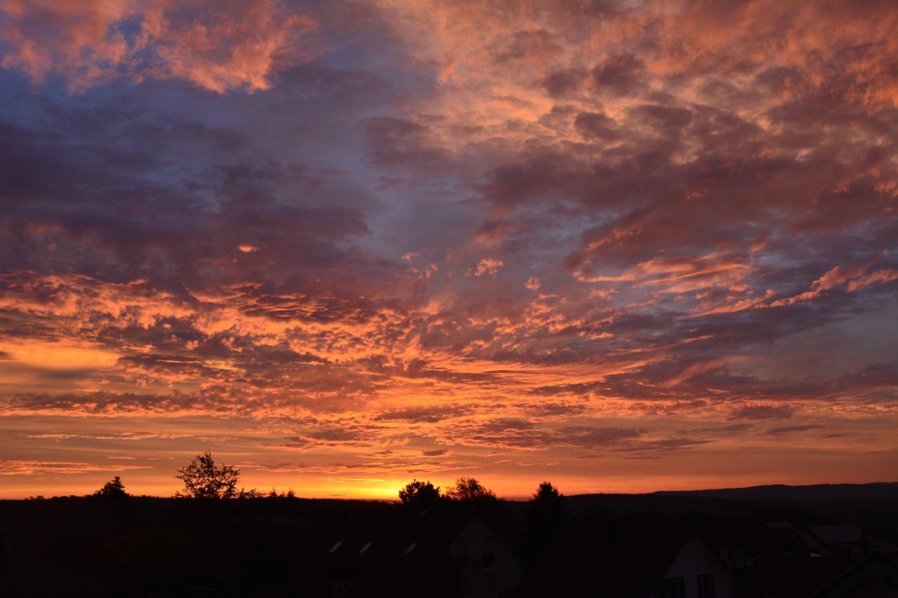 Ferienwohnung "Zum Paladin" Berg  Esterno foto