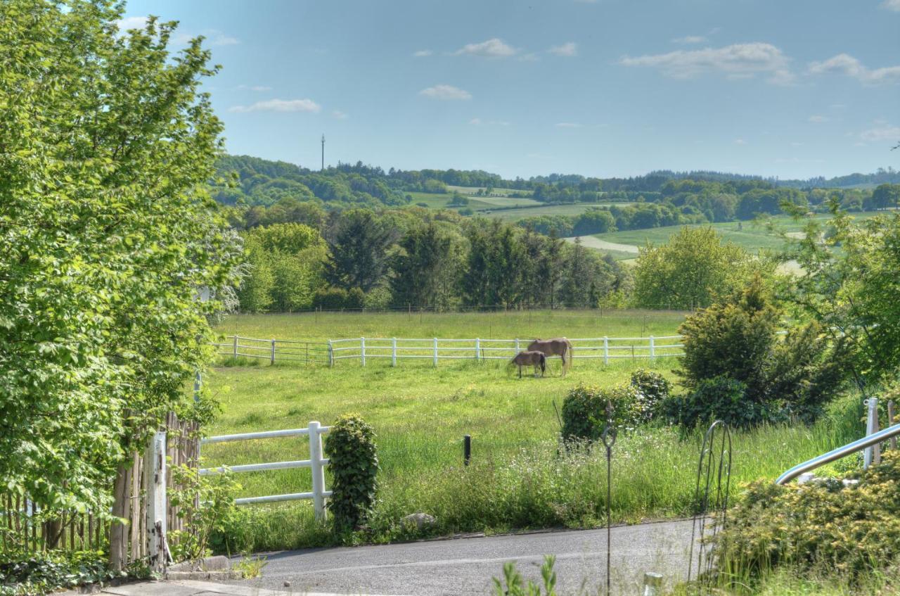 Ferienwohnung "Zum Paladin" Berg  Esterno foto